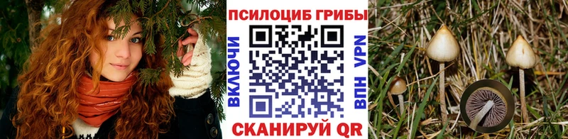 хочу   Покров  Галлюциногенные грибы MAGIC MUSHROOMS 